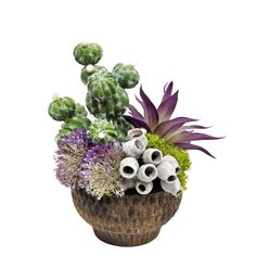 a potted plant with purple flowers and cacti in it on a white background