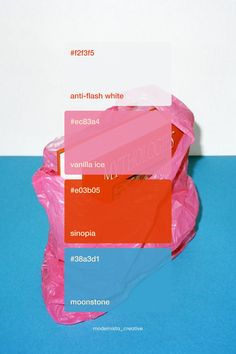 Bold pink summer 2024 color palette inspiration | Visual identity design Bold Brand Identity Design, Palette Design, Color Pallete, Palette Inspiration