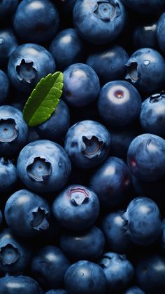 blueberries with holes and a green leaf on top