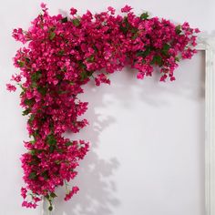 pink flowers growing on the side of a white wall