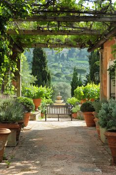 an outdoor garden with potted plants and a bench