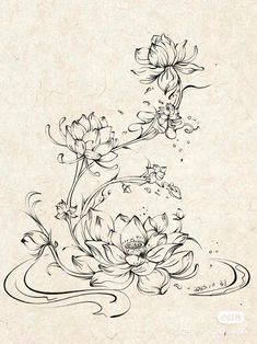 a drawing of flowers and leaves on paper