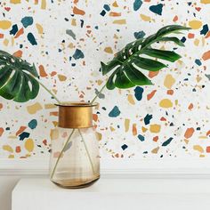 two plants in a glass vase against a wall with colorful paint splattered on it