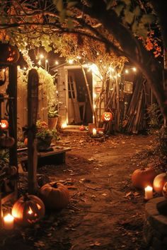 an outdoor area with pumpkins lit up at night