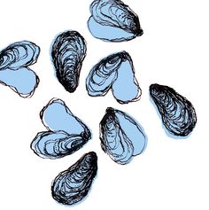 several pieces of clam on a white surface with blue ink in the middle and bottom