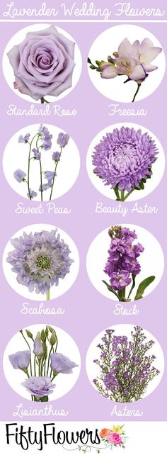 different types of flowers are shown in this graphic style, with the names and pictures below them