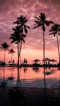 palm trees are reflected in the water at sunset