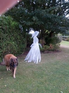 there is a dog that is walking in the yard with two ghost statues behind it