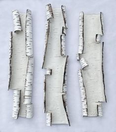 four pieces of white birch wood are shown