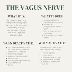 Vagus Nerve Picture, Vagus Nerve And Sleep, Yoga Nervous System, Traumatized Nervous System, The Body Remembers, Heal Vagus Nerve, What Is The Vagus Nerve, Nervous System Diet, Regulating The Nervous System