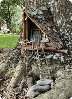 a tree house built into the side of a tree with rocks in front of it