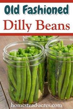 three jars filled with green beans sitting on top of a wooden table next to a red and white sign that says old fashioned dill beans