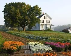 a white house sitting on top of a hill next to a lush green field filled with flowers