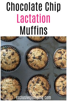 These chocolate chip lactation muffins are easy to make (one bowl!), delicious, and can help you boost your milk supply! They have three galactagogues including oats, brewer's yeast, and flaxseed. Click to make it or pin for later! #breastfeeding #milksupply #lactationmuffins Postpartum Freezer Muffins, Oat Milk Recipes Ways To Use, Lactation Muffins, Breastfeeding Food, Confinement Food, Exclusive Pumping