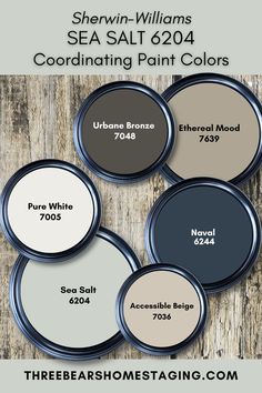 Sherwin-Williams Sea Salt 6204 Benjamin Moore Swiss Coffee, Coordinating Paint Colors, Sea Salt Sherwin Williams, Swiss Coffee, House Paint Interior, Off White Paints, Paint Color Inspiration, Paint Color Schemes