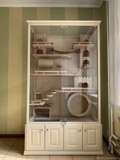 an empty room with shelves and cupboards filled with cats in it's cage