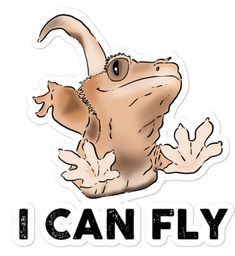 i can fly sticker with an image of a lizard on it's back