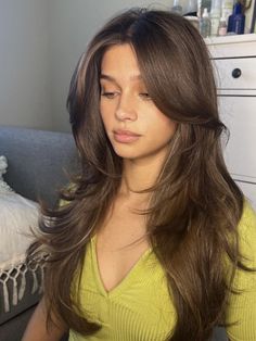 Butterfly Haircut On Brown Hair, Curtain Bangs Long Hair Brunette Straight, Butterfly Haircut Long Brown Hair, Long Layered Hair Butterfly Cut, Long Brown Haircut Layers, Hair Inspo Long Layers Curtain Bangs, 90s Brunette Blowout, Layered Long Hair Curtain Bangs, Low Bunny Hairstyle