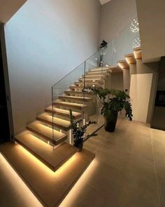 some stairs with lights on them and plants in the bottom right hand corner next to each other