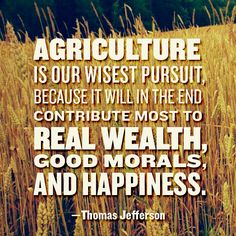 a field full of ripe wheat with a quote from thomas jefferson on the front and back