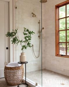 a bathroom with a shower and a plant in the corner