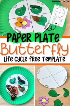 paper plate butterfly life cycle free template for kids