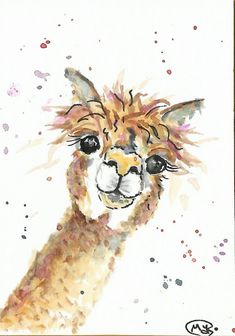 a watercolor painting of an alpaca