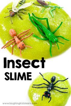 an insect slime is shown with the words insect slime on it