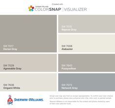 the color scheme for colorsnap visualizer, which is available in several different shades