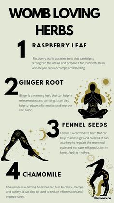 Womb Cleansing Herbs, Herbs For Period, Womb Health, Period Health, Womb Healing, Healthy Hormones, Menstrual Health, Women Health Care, Feminine Health