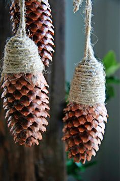 two pine cones hanging from twine with rope