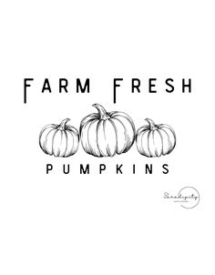 farm fresh pumpkins on a white background with the words pumpkin inns written in black