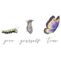 three butterflies and one caterpillar with the words give yourself time written on it