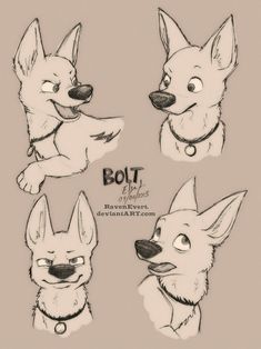 four drawings of dogs with different expressions on their faces and ears, one in the foreground