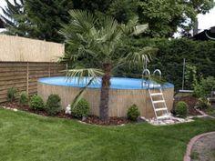 an above ground swimming pool in a backyard with landscaping around it and a palm tree