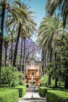 people are standing in front of a fountain surrounded by trees