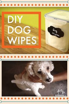 two pictures with the words diy dog wipes and a white dog in front of a container