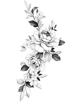 a black and white drawing of flowers with leaves on the bottom half of each flower