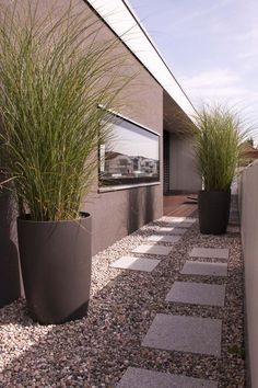 Amazing landscaping design ideas Modern Landscape Ideas, Small Yard Landscaping, Side Yard Landscaping, Modern Landscape, Home Garden Design, Patio Landscaping, Backyard Garden Design