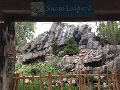 there is a sign that says snow leopard in front of the rock formations at the zoo