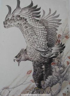 a drawing of an eagle perched on a tree branch