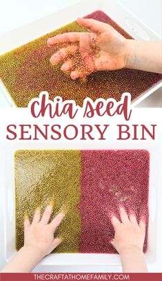 two hands are shown with the words chia seed sensory bin