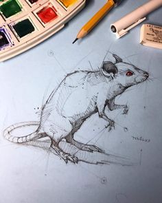 a drawing of a rat on paper next to some markers and paintbrushes,