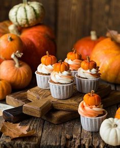 small cupcakes with white frosting and mini pumpkins in the background on a wooden table