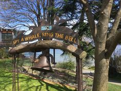 there is a sign that says spy a whale ring the bell in front of a tree