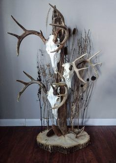 the antlers are mounted on the wall in front of the tree stumps and branches