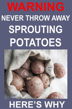 Sprouting Potatoes, The Best Potatoes, Best Potatoes, Grow Potatoes, Potatoes Easy, Build A Greenhouse, Small Greenhouse, Survival Gardening, Growing Potatoes