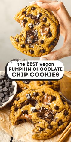 the best vegan pumpkin chocolate chip cookies