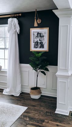 a black and white photo hangs on the wall next to a potted plant in front of a window