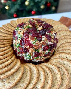 a platter with crackers, cheese and cranberry salad on it